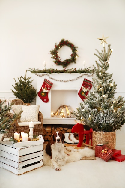 Lindo perrito en una sala de estar decorada de Navidad