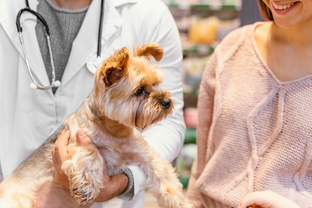 Lindo perrito en la tienda de mascotas con dueño