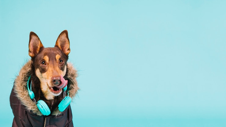 Foto gratuito lindo perro con auriculares