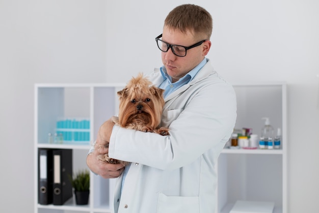 Lindo perro durante una consulta