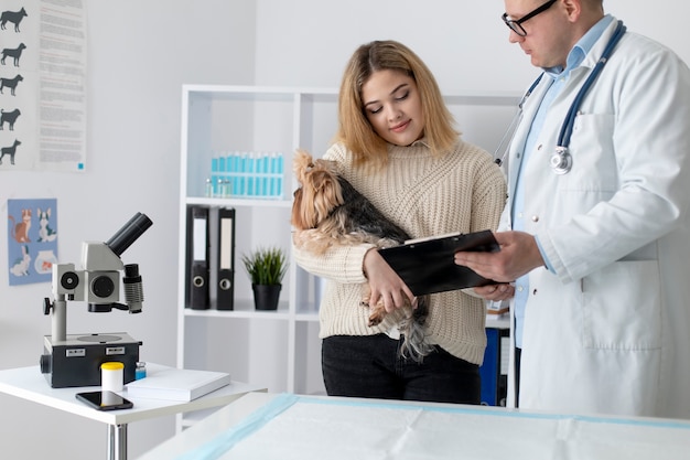 Lindo perro durante una consulta