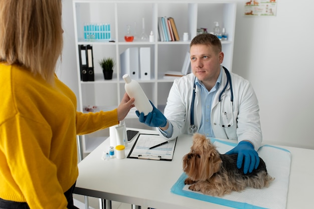 Lindo perro durante una consulta