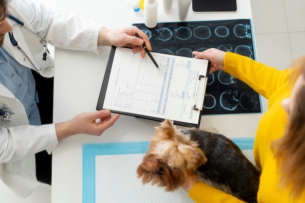 Lindo perro durante una consulta