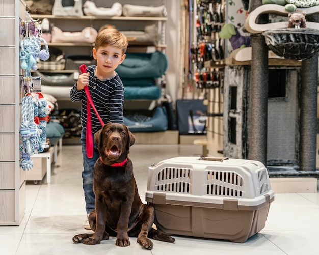 Foto gratuita lindo perro marrón en la tienda de mascotas