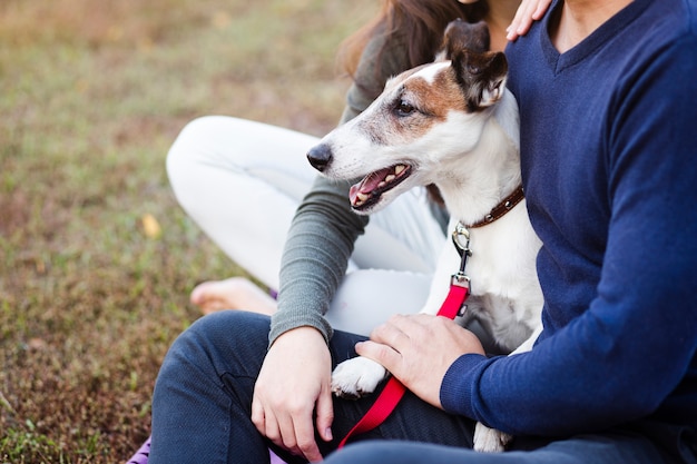 Foto gratuita lindo perro con pareja en el parque