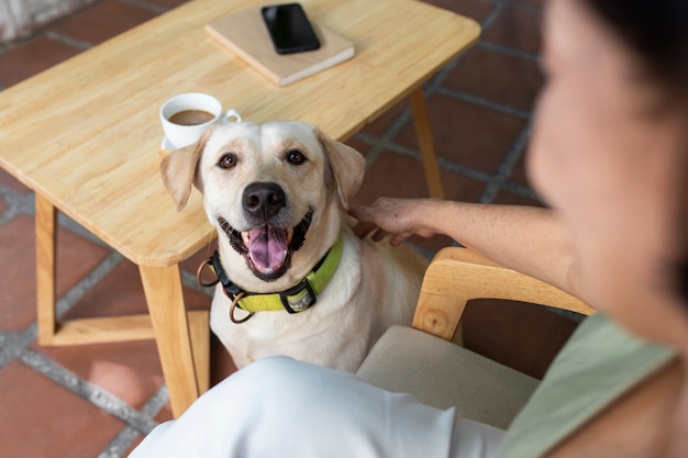 Foto gratuita lindo perro con su dueño en el jardín.