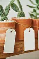 Foto gratuita lindos cactus en macetas de terracota con etiquetas de papel en blanco