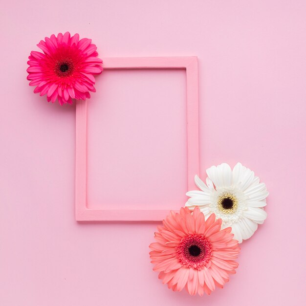 Lindos marcos rosados con flores y espacio de copia