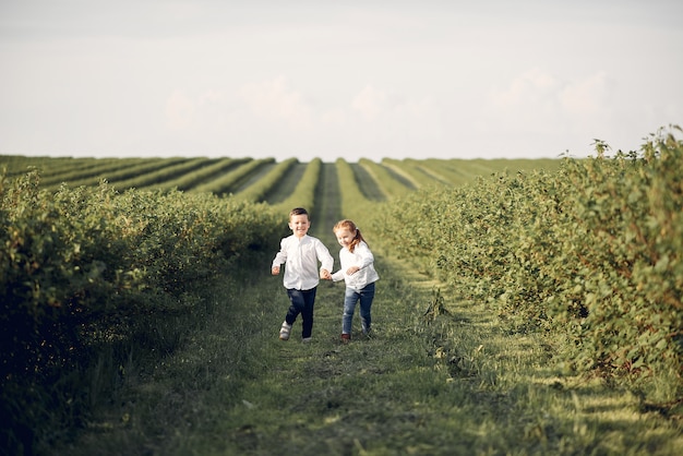 Lindos niños pequeños en un campo de primavera