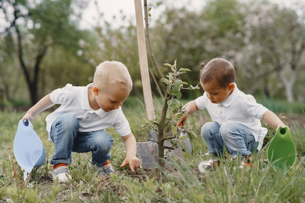 Foto gratuita lindos niños plantando un árbol en un parque