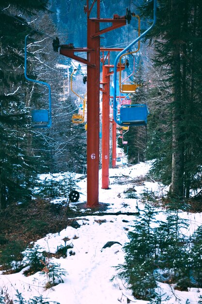 Línea de fila de muchas sillas de colores pastel del remonte retro grunge, moviéndose a través del bosque de pinos de invierno cubierto de nieve fresca en las montañas, tiro vertical