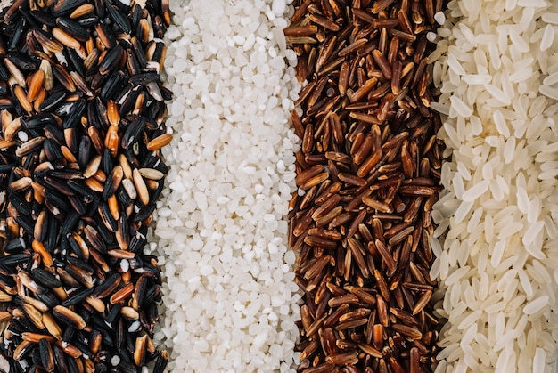 Foto gratuita líneas de arroz surtido