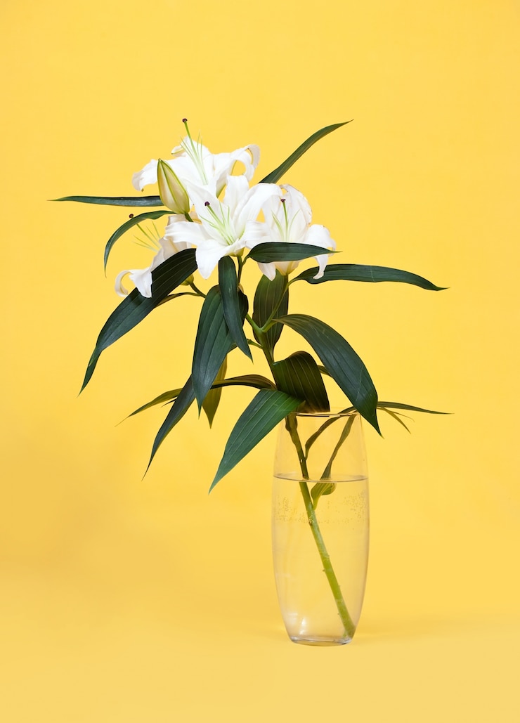 Foto gratuito lirio blanco en florero en amarillo