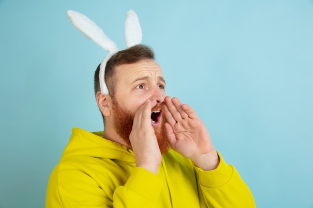 Llamando, gritando. Hombre caucásico como un conejito de Pascua con ropa casual brillante sobre fondo azul de estudio.