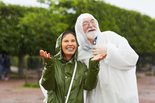 Lluvia de verano