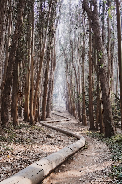 Lover's Lane Trail