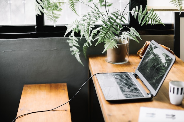 Lugar de trabajo con computadora portátil y maceta