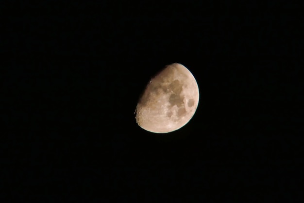 Luna blanca en la oscuridad