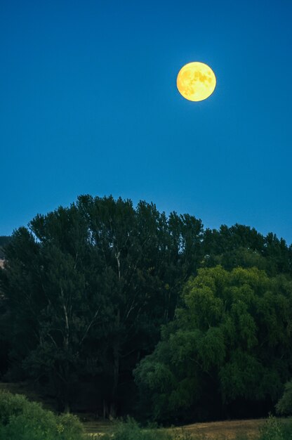 Luna llena amarilla en un cielo azul