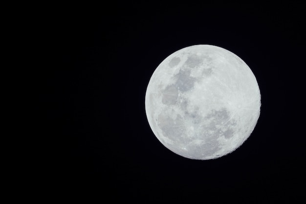 luna llena sobre fondo oscuro