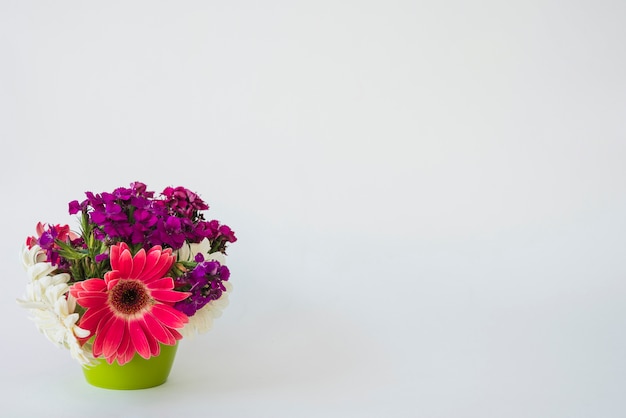 Maceta con hermosas flores