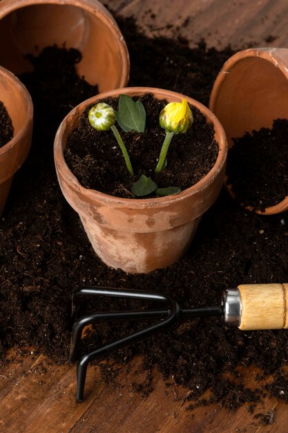 Macetas de flores en el piso