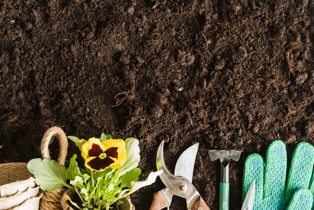Macetas de turba; planta de pensamiento; herramientas de jardinería y guantes en el suelo