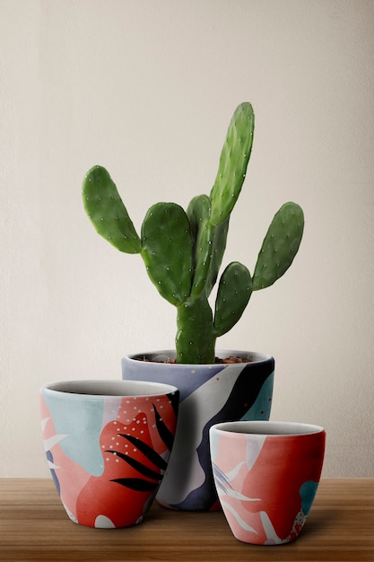 Foto gratuita maceteros estampados con cactus cereus