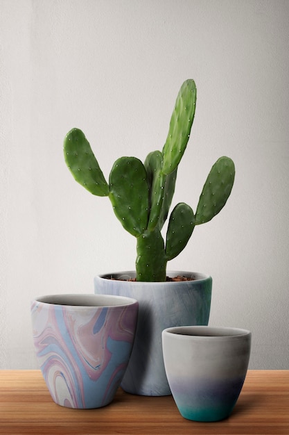 Foto gratuita maceteros estampados con cactus cereus