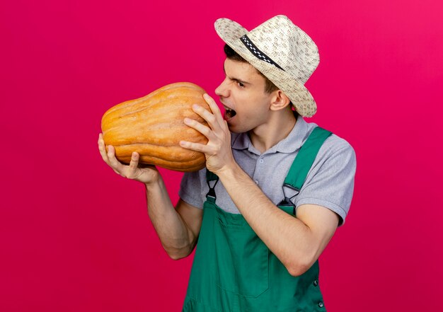 Macho joven jardinero molesto vistiendo sombrero de jardinería pretende morder calabaza