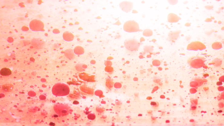 Foto gratuito macro de textura del esmalte de uñas