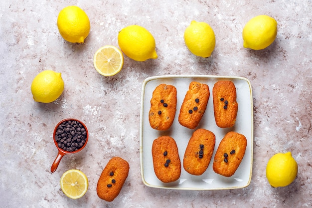 Foto gratuita madeleine: pequeñas galletas francesas tradicionales caseras con limón y chispas de chocolate.