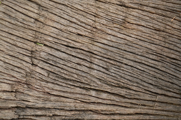 Foto gratuita la madera del árbol de cerca la textura del tablón