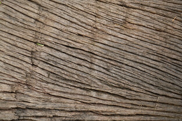 la madera del árbol de cerca la textura del tablón