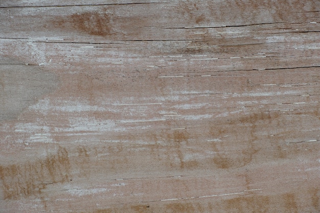 Foto gratuita madera con pintura blanca desgastada