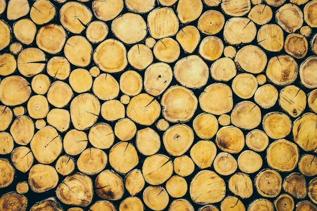 madera del registro