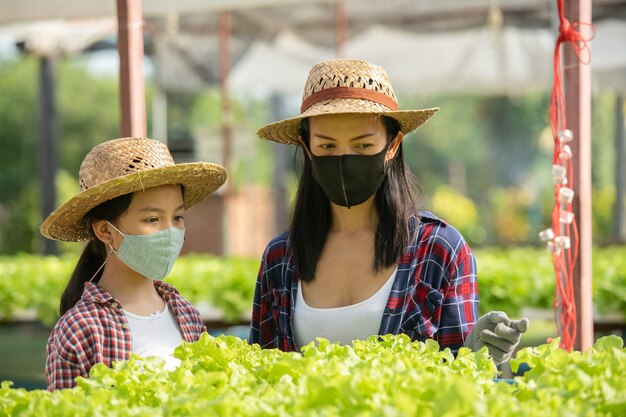 La madre asiática y la hija usan una máscara que están ayudando juntas a recolectar la verdura hidropónica fresca en la granja, el concepto de jardinería y la educación infantil de la agricultura doméstica en el estilo de vida familiar.