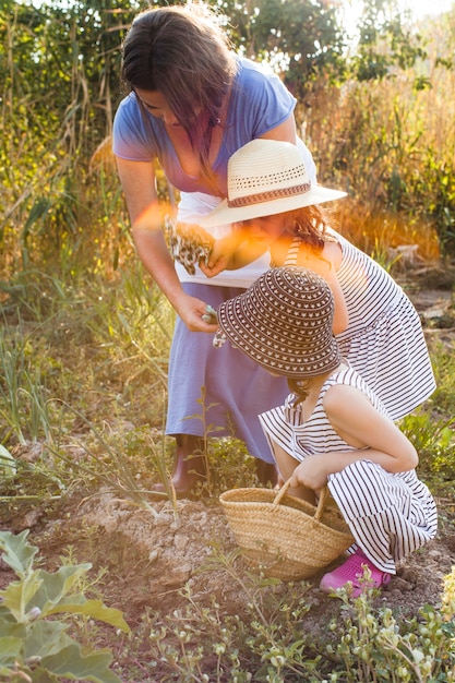 Madre dando guantes a sus dos hijas cosechando en campo