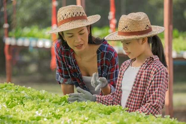 Madre e hija asiáticas están ayudando juntas a recolectar la verdura hidropónica fresca en la granja, el concepto de jardinería y la educación infantil de la agricultura doméstica en el estilo de vida familiar.