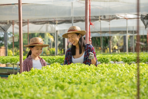 Madre e hija asiáticas están ayudando juntas a recolectar la verdura hidropónica fresca en la granja, el concepto de jardinería y la educación infantil de la agricultura doméstica en el estilo de vida familiar.