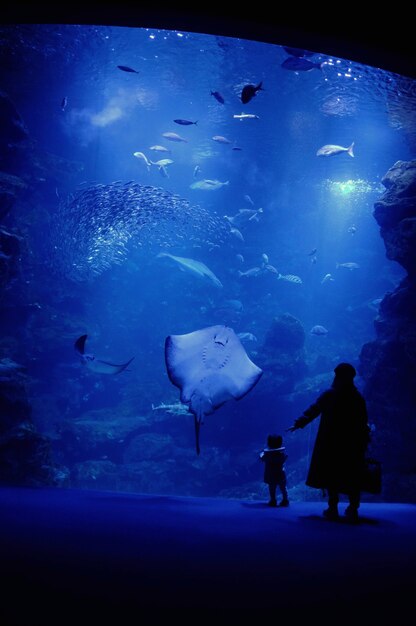 Madre e hijo en el acuario.