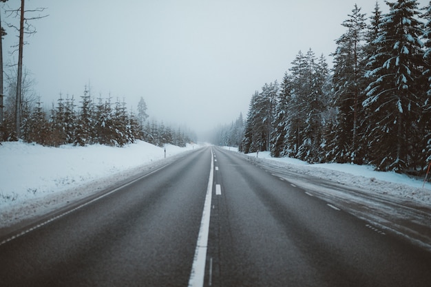 Magnífica vista de una carretera rodeada de árboles en campos nevados capturados en Suecia