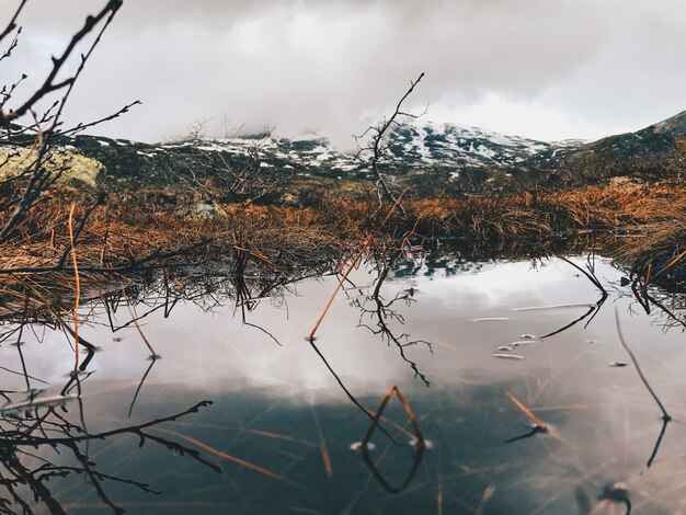 Magníficas montañas reflejan en el lago