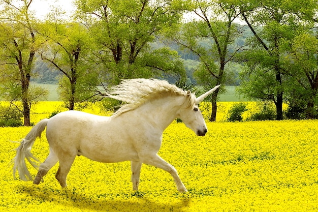 Magnífico unicornio en la naturaleza.