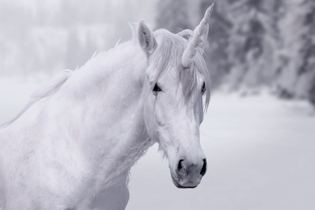 Magnífico unicornio en la naturaleza.