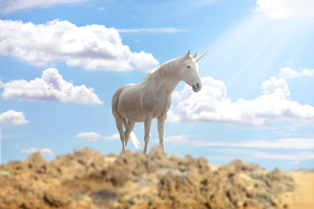 Foto gratuita magnífico unicornio en la naturaleza.