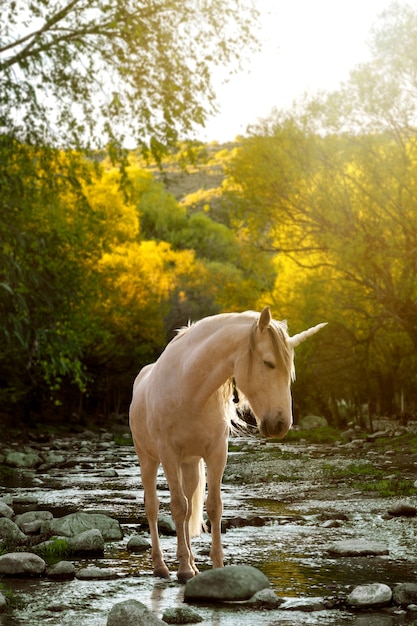 Magnífico unicornio en la naturaleza.