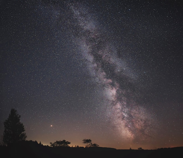 Majestuoso cielo nocturno lleno de estrellas.