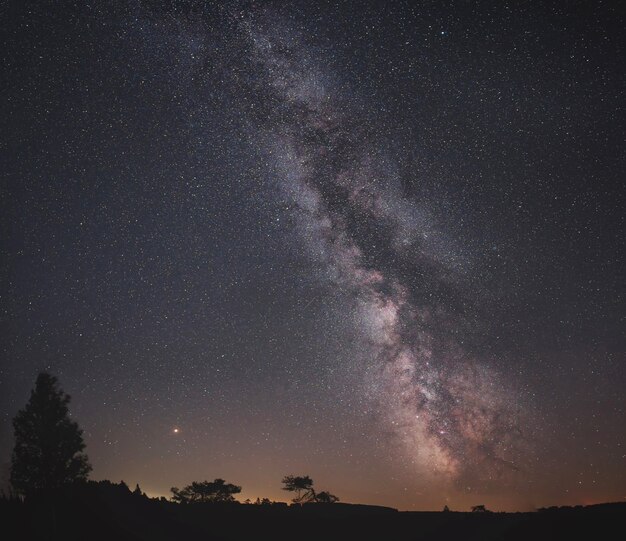 Majestuoso cielo nocturno lleno de estrellas.