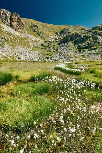 Majestuoso de un pequeño lago de montaña rodeado de pasto de algodón en el campo de la Riviera francesa